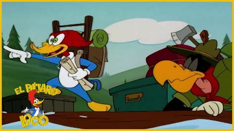 Pajaro Loco Episodio .